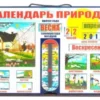 Календарь природы. Магнитная игра для всей семьи