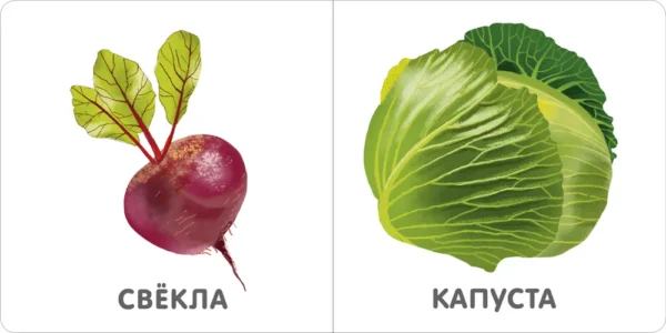 Овощи. Моя самая первая книжка