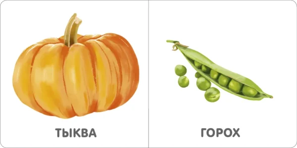 Овощи. Моя самая первая книжка