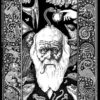 Алексей Зимин: Англомания (красная/зеленая обложка)