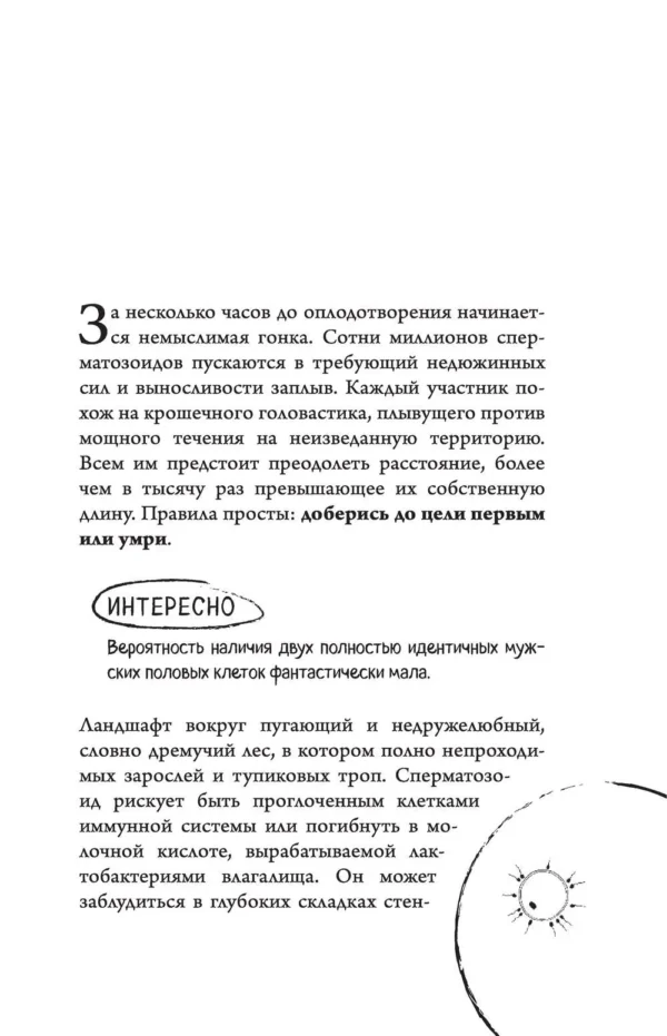 Катарина Вестре: 280 дней до вашего рождения. Репортаж о том, что вы забыли, находясь в эпицентре событий