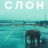 Саша Филипенко: Слон