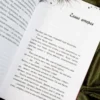Холли Джексон: Хорошая девочка - плохая компания