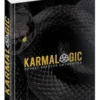 Алексей Ситников: Karmalogic