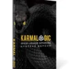 Алексей Ситников: Karmalogic. Краткая версия