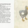 Аліса в Країні див (УКР.ЯЗ)