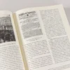 Андрей Белый: Петербург