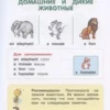 Английский для малышей (4-6 лет)