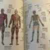 Англо-русский визуальный словарь с транскрипцией