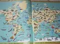 Атлас животных и растений мира