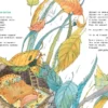 А.Усачев. Большая книга стихов и сказок