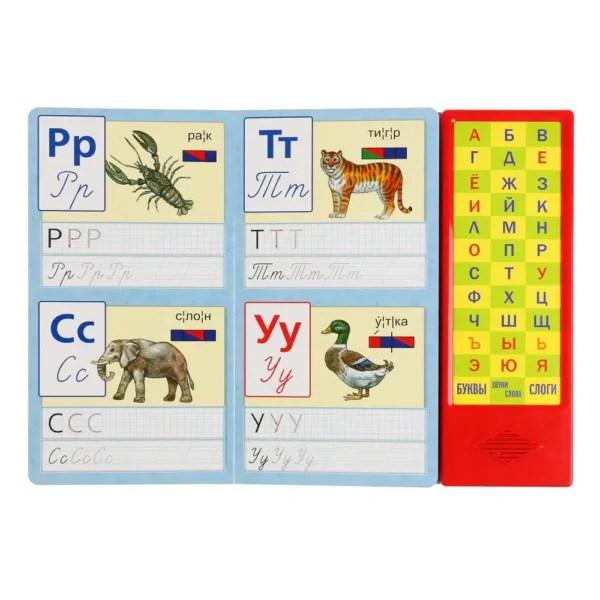 Букварь. 36 звуковых кнопок