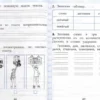 Чтение. 2 класс. Работа с текстом. ФГОС