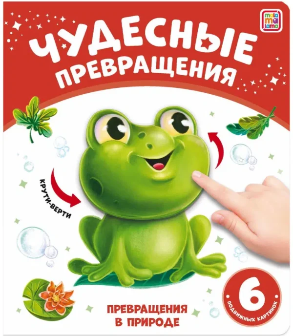 Чудесные превращения. Превращения в природе
