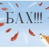 Стив Смолмен: Чур, медведя не будить! (Boocaboo)