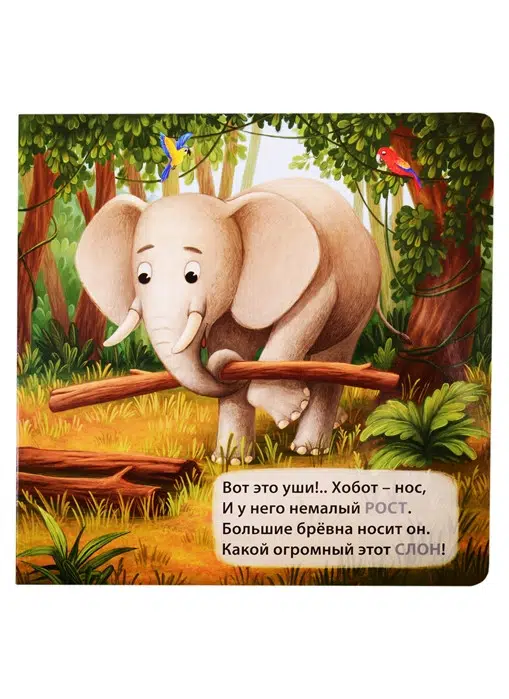 Дикие животные. Загадки-рифмы. Книжка - Картонка.