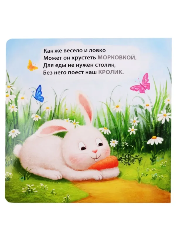 Домашние животные. Загадки-рифмы