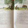 Мигель де Сервантес: Дон Кихот (в пересказе)