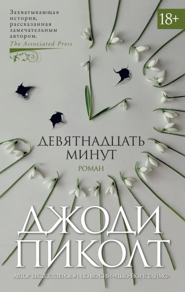 Джоди Пиколт: Девятнадцать минут