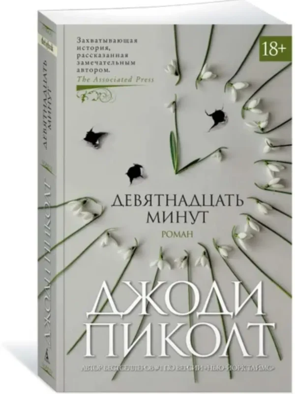 Джоди Пиколт: Девятнадцать минут