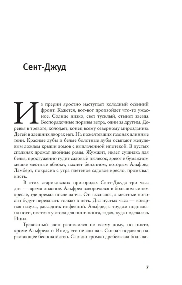 Джонатан Франзен: Поправки