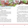 Елена Ульева: Новогодняя книга сказок