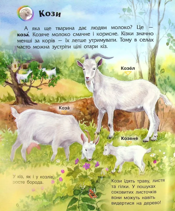 Енциклопедія дошкільника: Свійські тварини (УКР.ЯЗ)