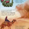Енциклопедія дошкільника. Наша планета (УКР.ЯЗ)