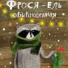 Фрося — Ель обыкновенная
