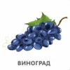 Фрукты и ягоды. Книжки-картонки