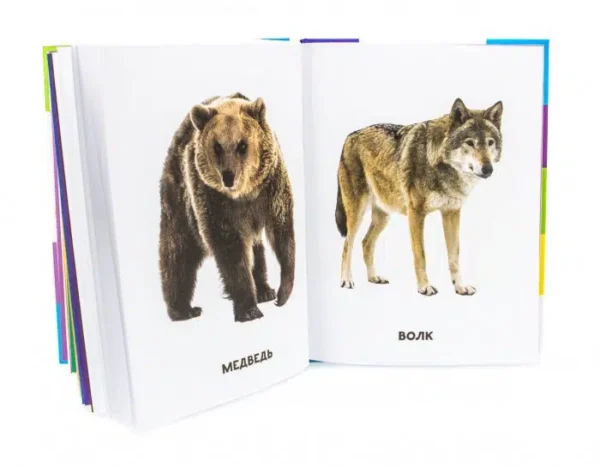 Главная книга малыша