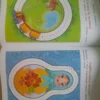 Годовой курс развивающих занятий (для детей 2-3 лет)