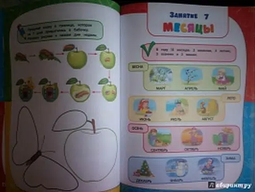 Годовой курс занятий (для детей 5-6 лет)