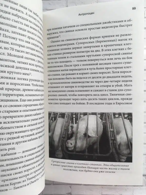 Homo Deus. Краткая история будущего (мягкий пер.)