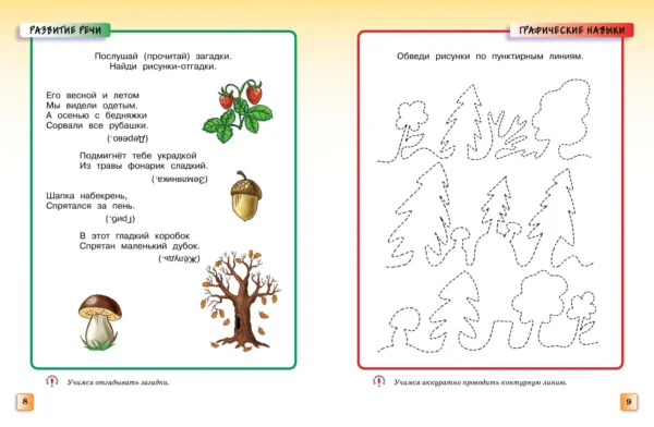 Грамотейка. Интеллектуальное развитие детей 5-6 лет.