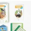 Игра-викторина «Коробочка знаний. Путешествие вокруг света»