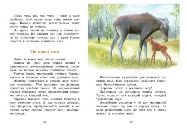 Иван Соколов-Микитов: Год в лесу. Рассказы о природе