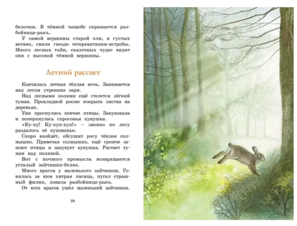 Иван Соколов-Микитов: Год в лесу. Рассказы о природе