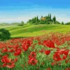 Картина по номерам «Маковое поле»