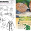 Казнов: Насекомые в комиксах. Том 1