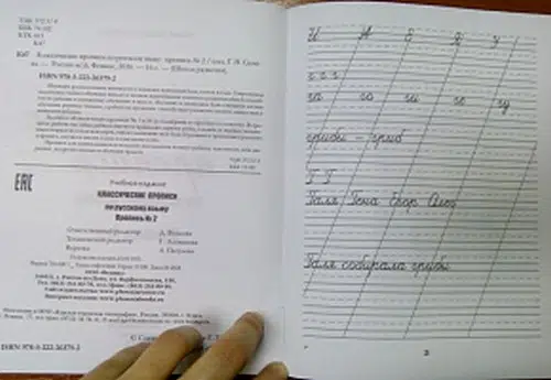 Классические прописи по русскому языку (2 тетради)