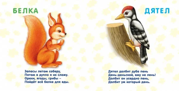 Книжки - картонки. Лесные животные