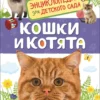 Кошки и котята. Энциклопедия для детского сада