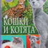 Кошки и котята