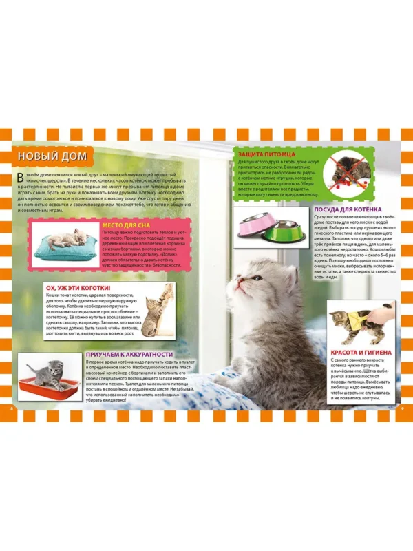Кошки и котята
