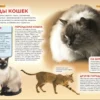 Кошки и котята. Детская энциклопедия