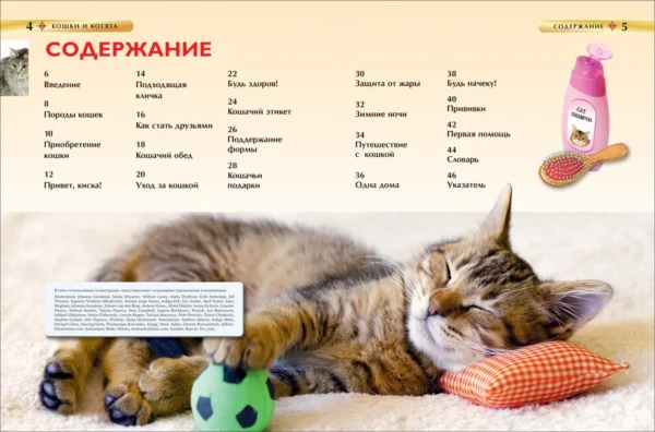 Кошки и котята. Детская энциклопедия