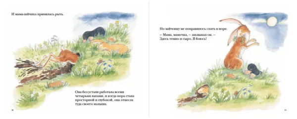 Шеридан Кейн: Куда уложить зайчонка? Для самых маленьких 2-4 года (илл. Салли Перси)
