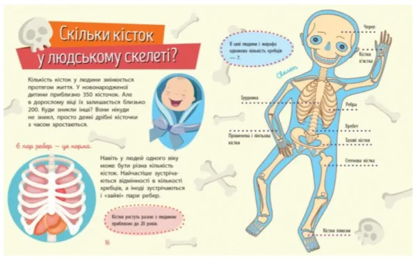 Людина. Чомусики (УКР.ЯЗ)