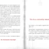 Магнус Мист: Злая книга